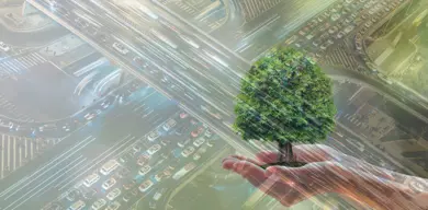 Tree In Hand