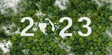 Istock 1443233924