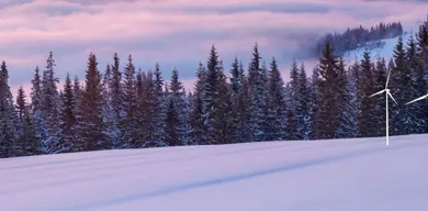 Winter 22 Release Webpage Banner