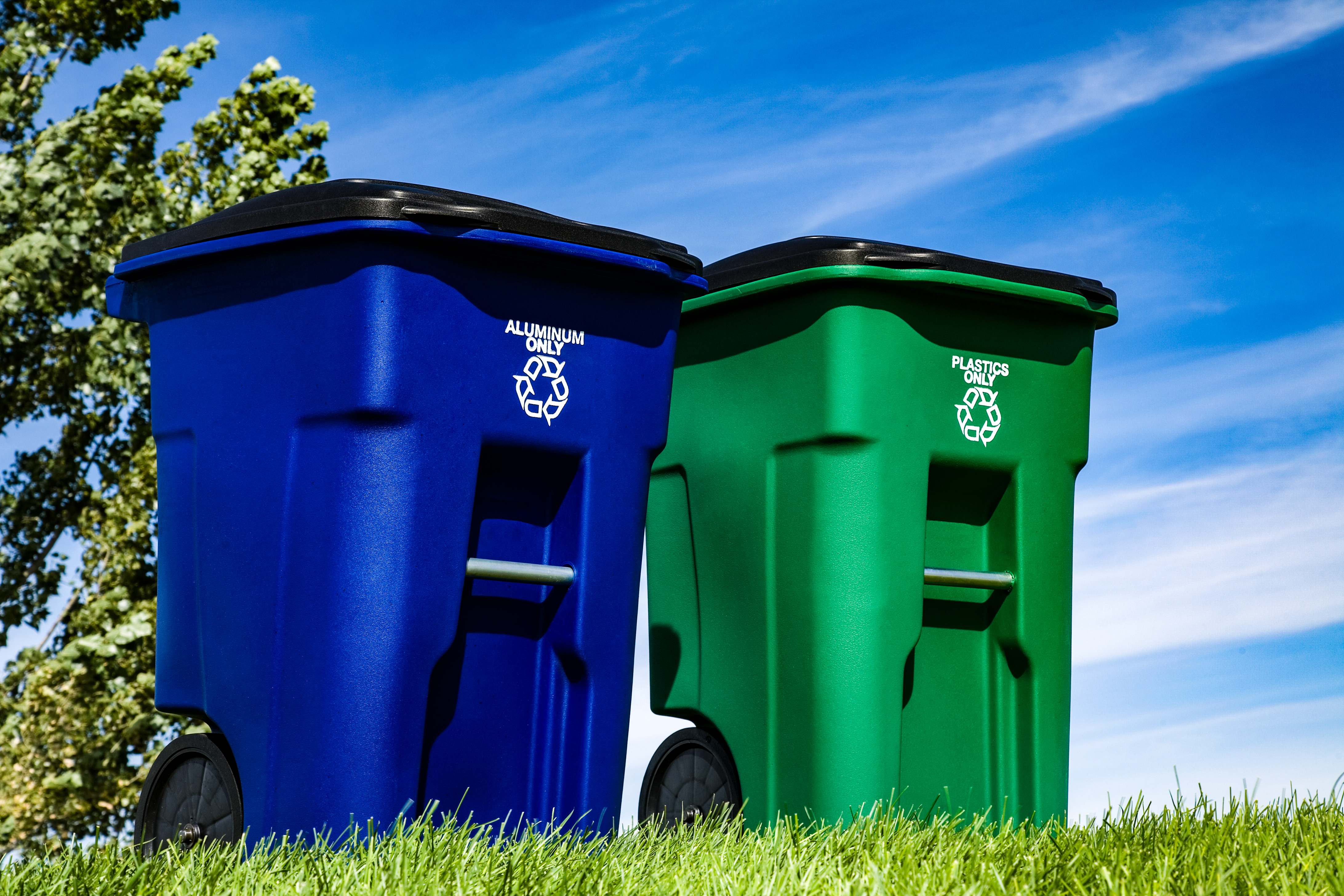 Bin