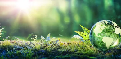 Istock 1309463809