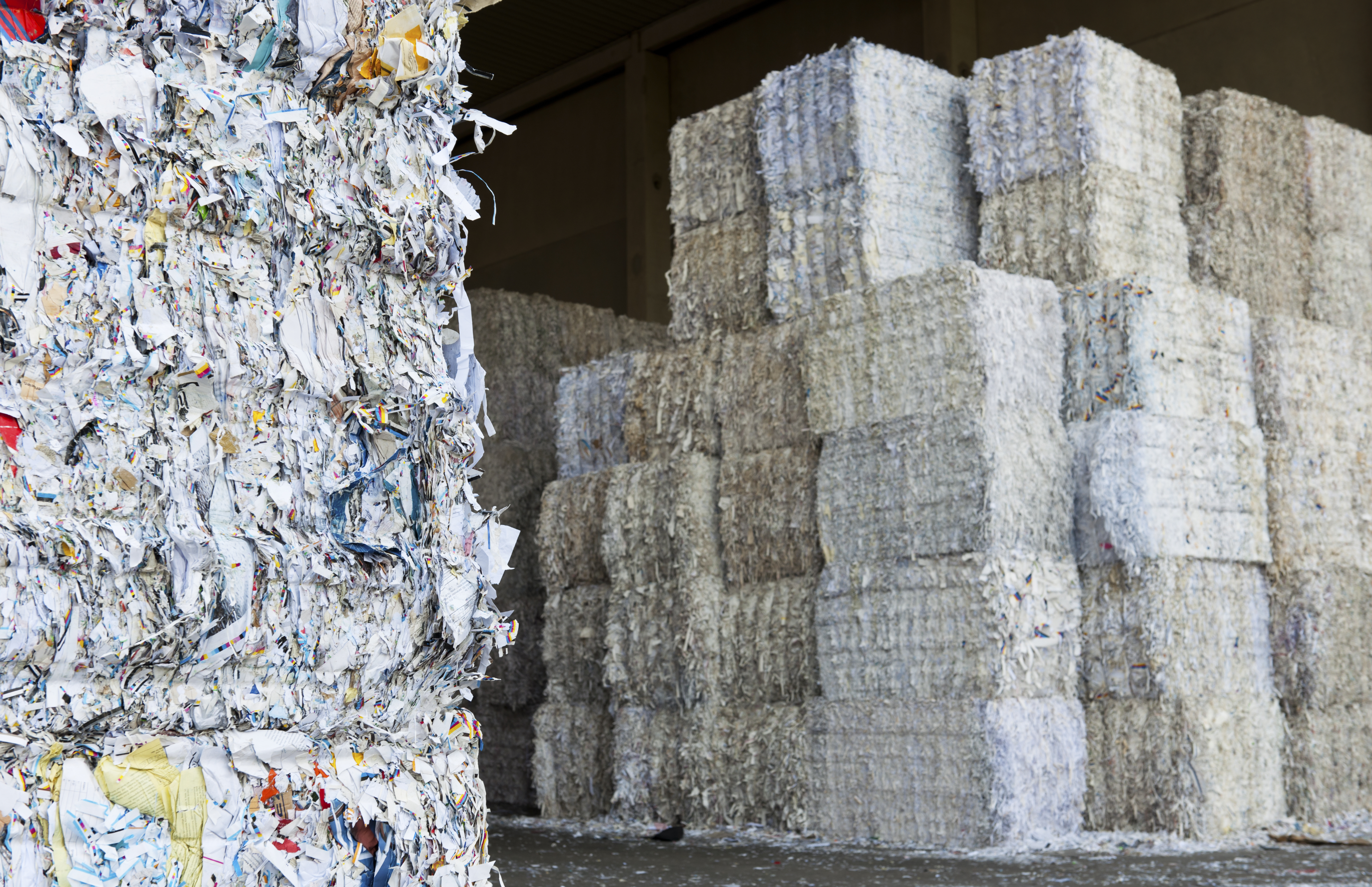 paper bales 2