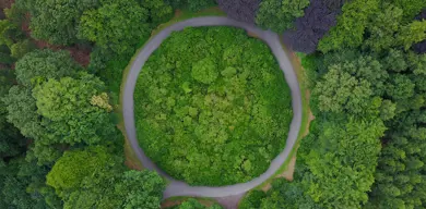 circular economy