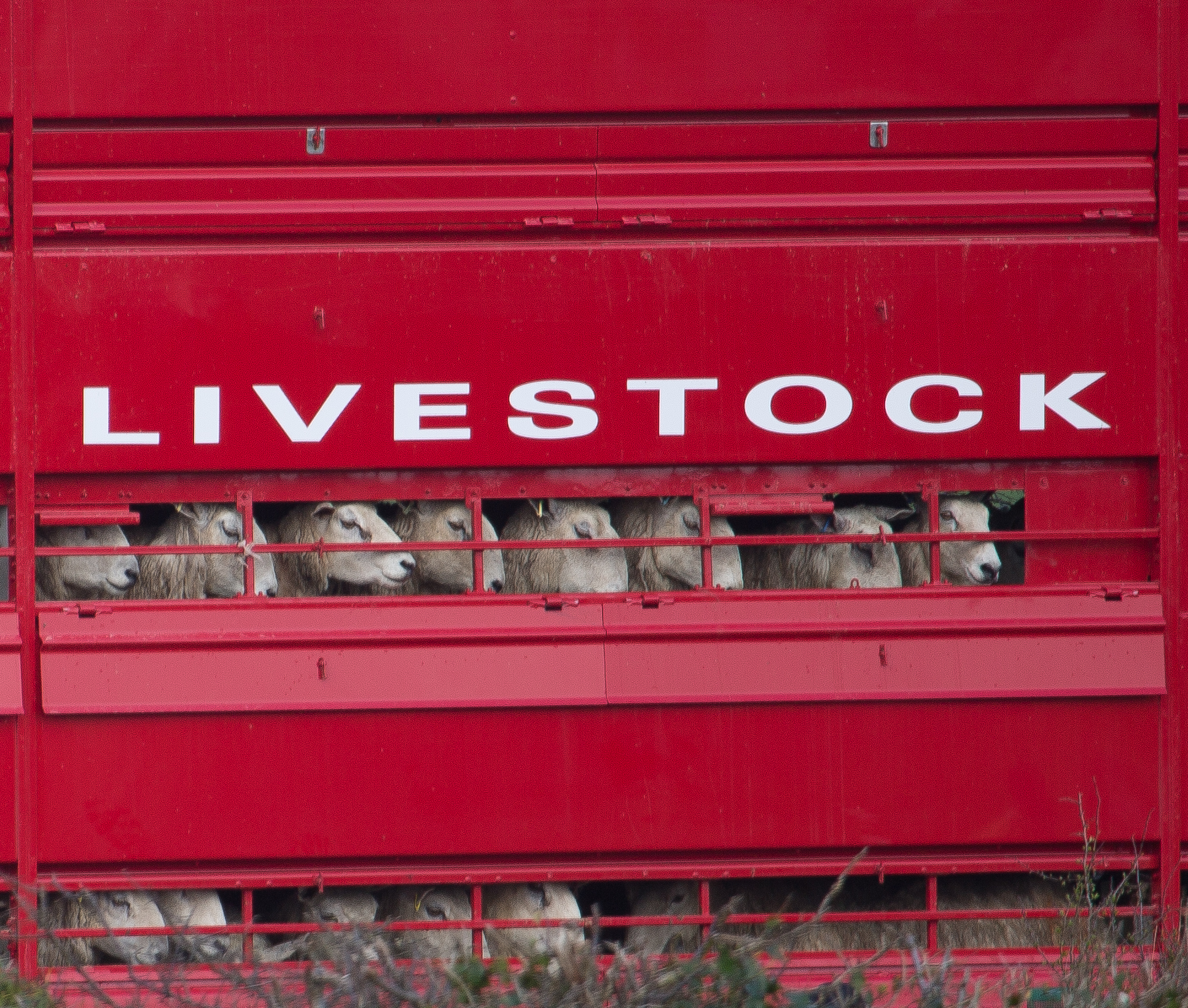 Istock 666391260