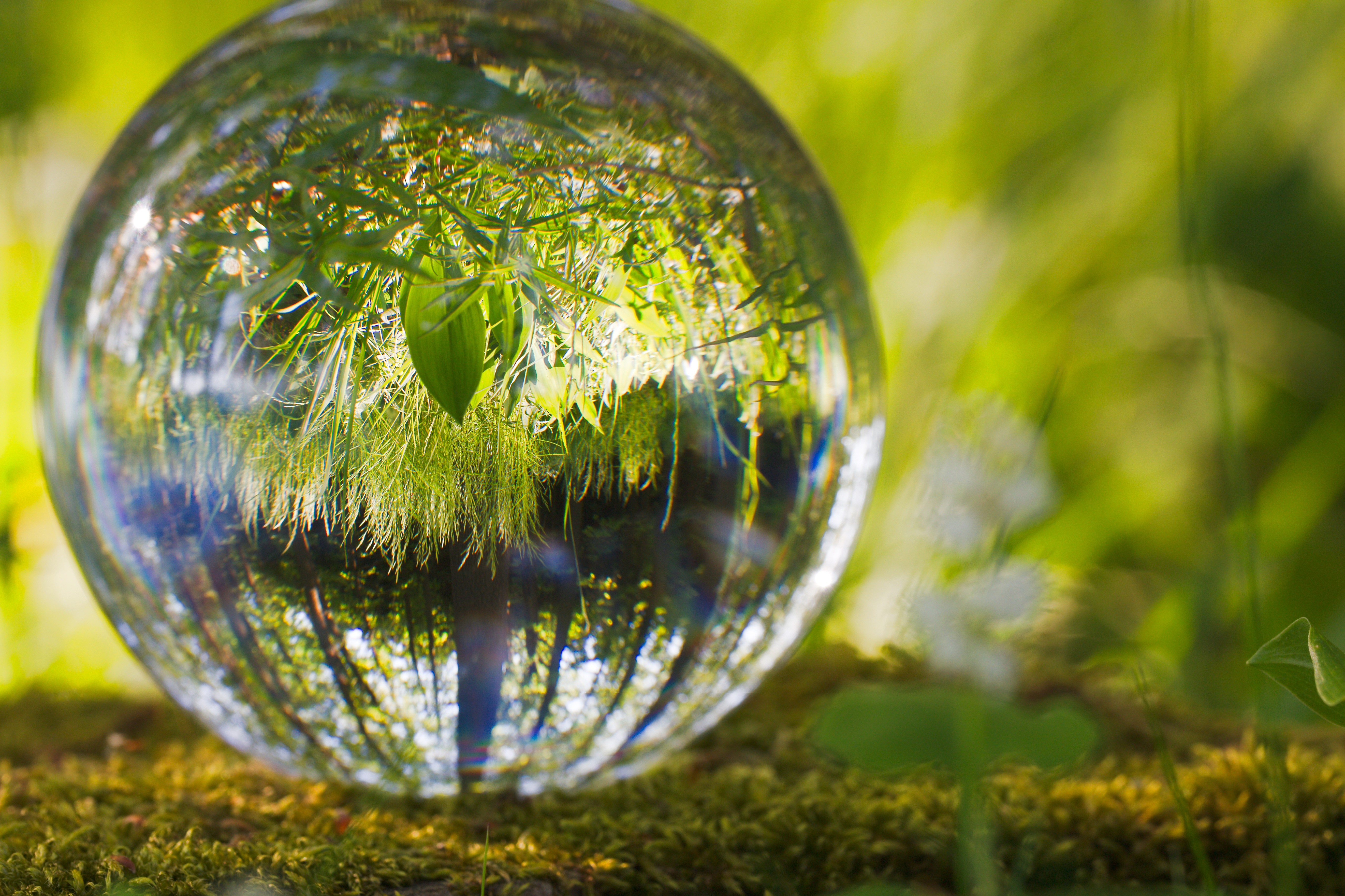 Glass Bowl
