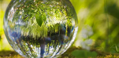 Glass Bowl