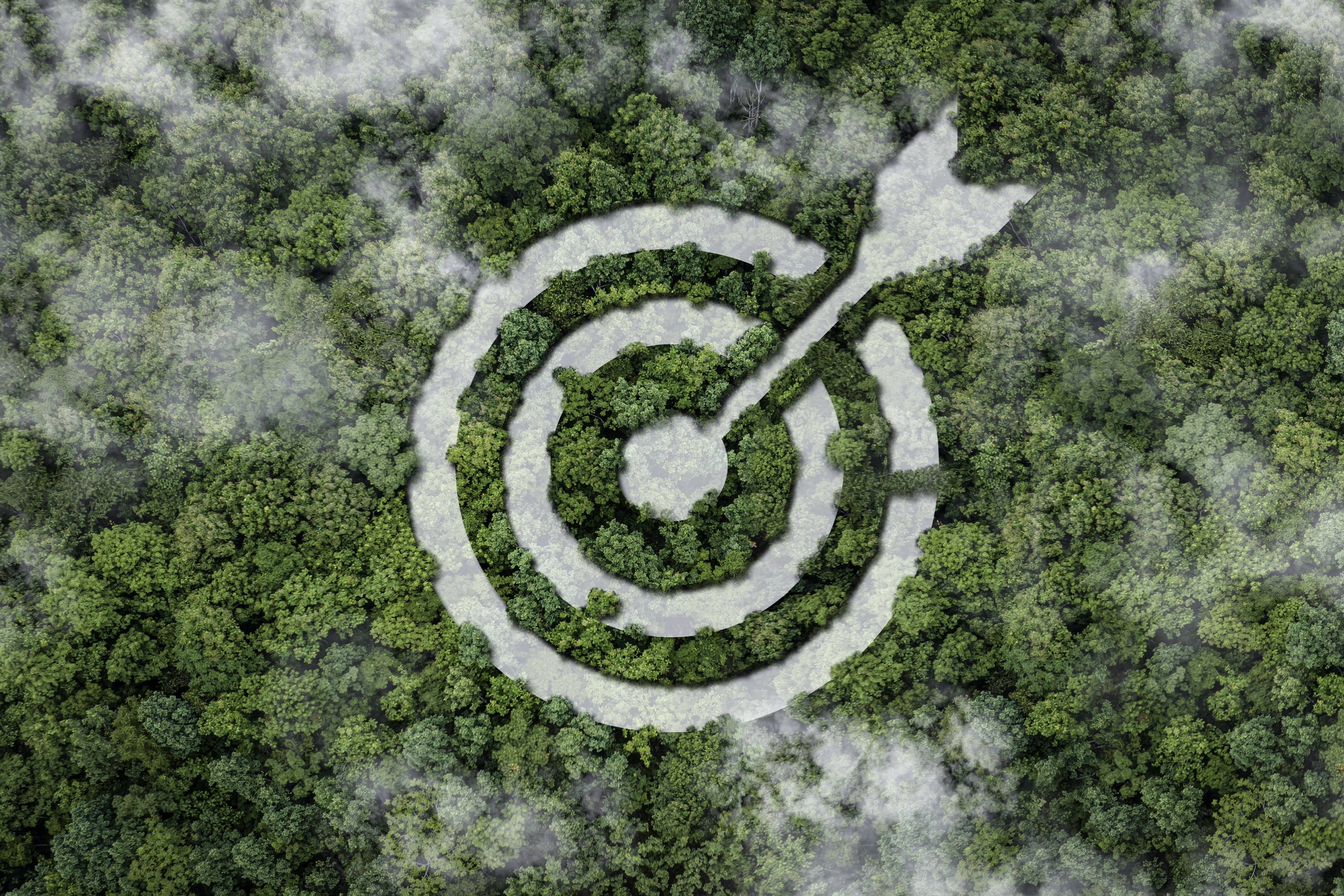 Sustainable goals