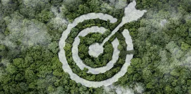 Sustainable goals