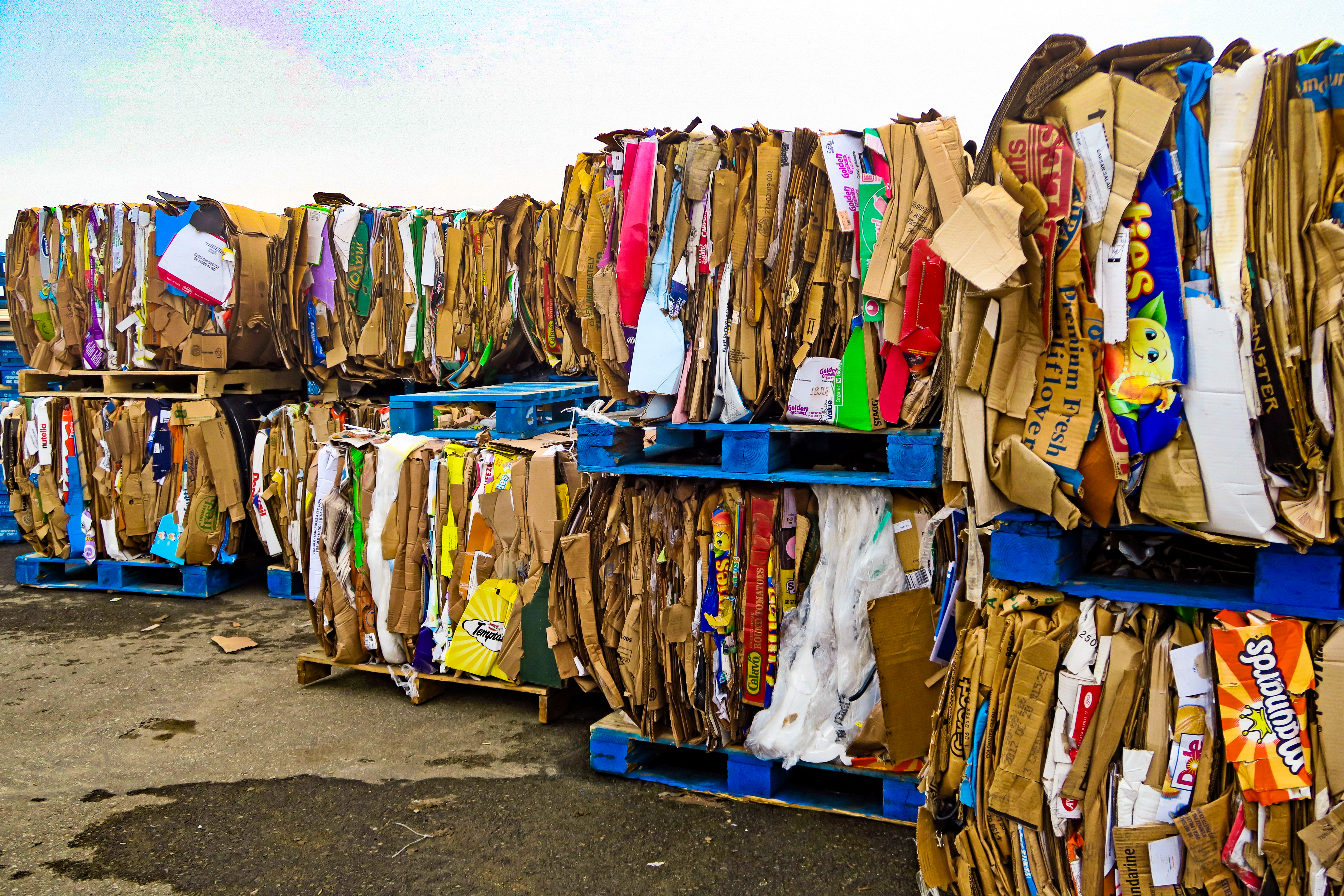 Paper Recycling