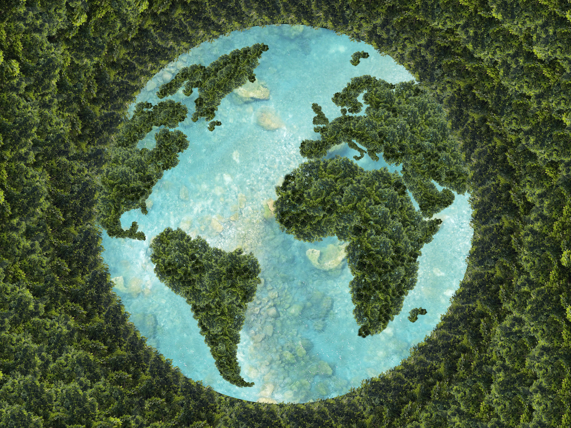 Addressing International Needs Sustainability