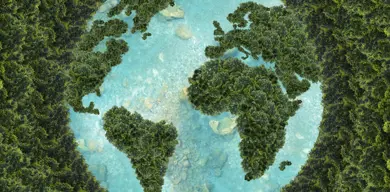Addressing International Needs Sustainability