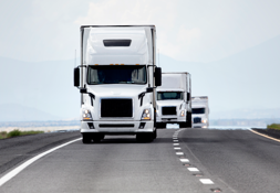 8. Qv21 blogs_best tips for a Qv21 Transportation Management system optimization