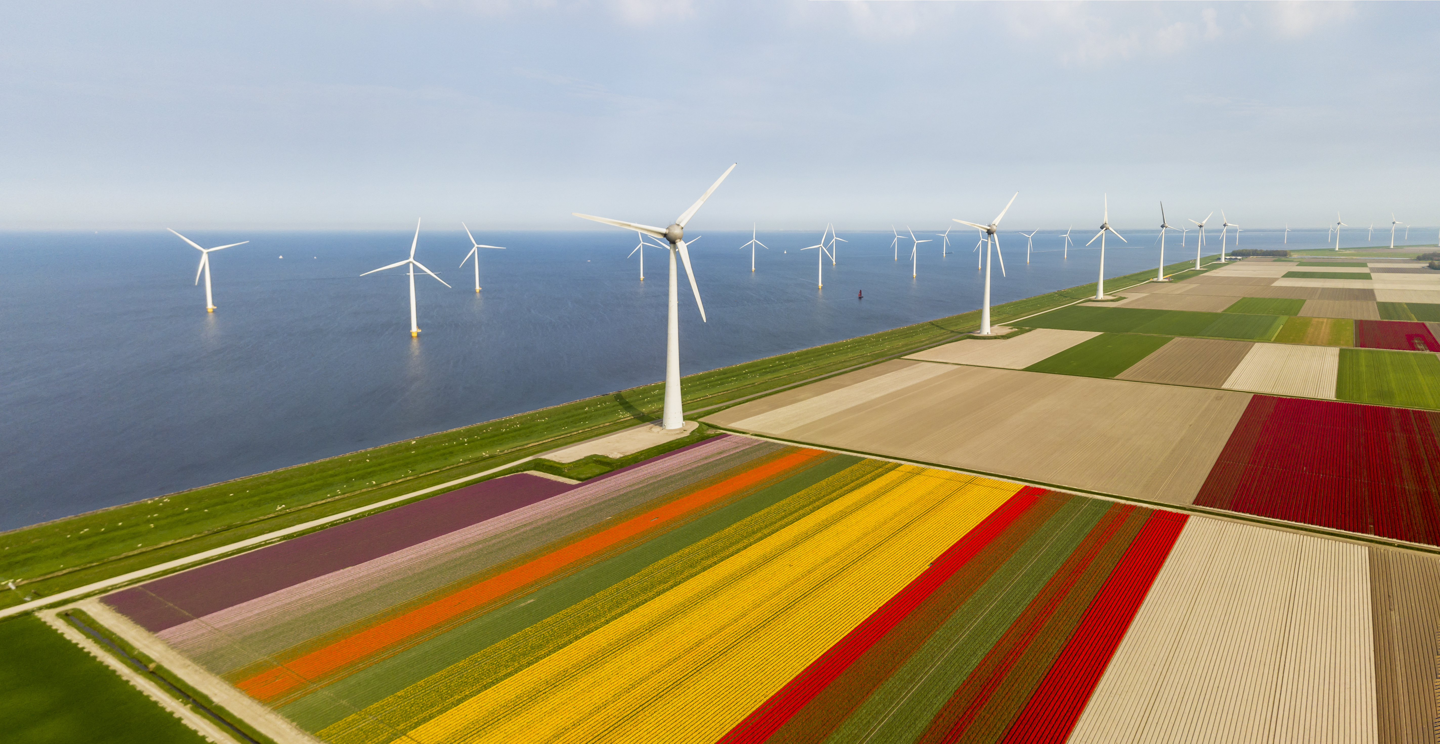 Sustainability Wind Turbines Istock 951696460