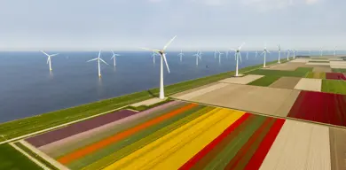 Sustainability Wind Turbines Istock 951696460