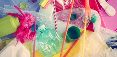 Plastic Bags