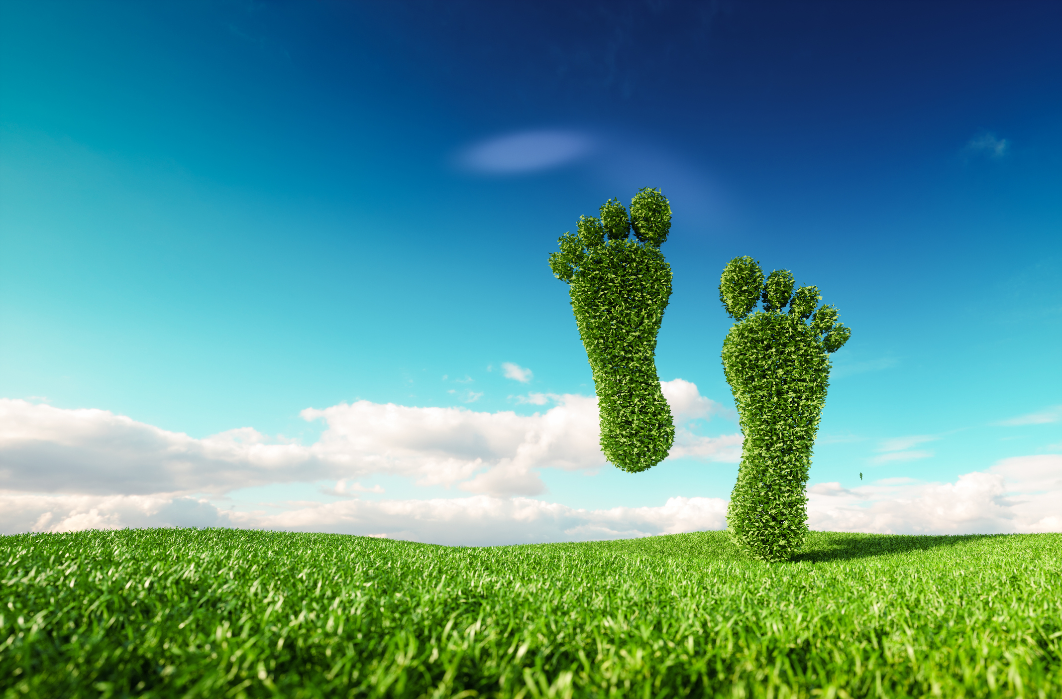 Istock 961826934