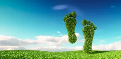 Istock 961826934
