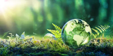 Press Release header Recycling Climate Change