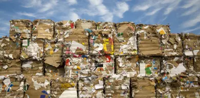 Paper Bails