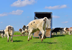 Istock 178402372