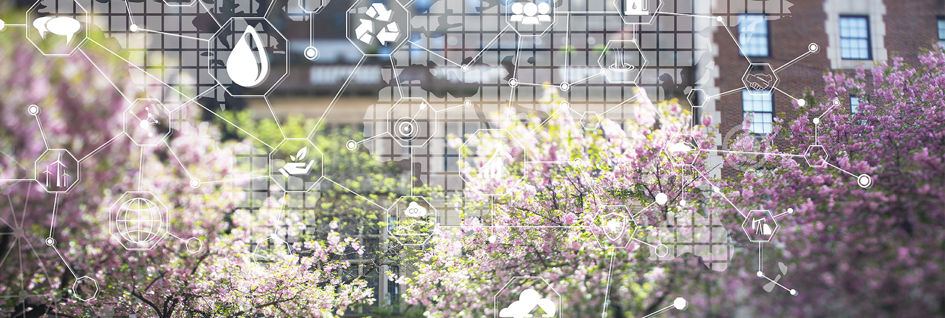 AMCS Spring Release 2024 1900X640