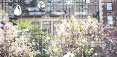 AMCS Spring Release 2024 1900X640
