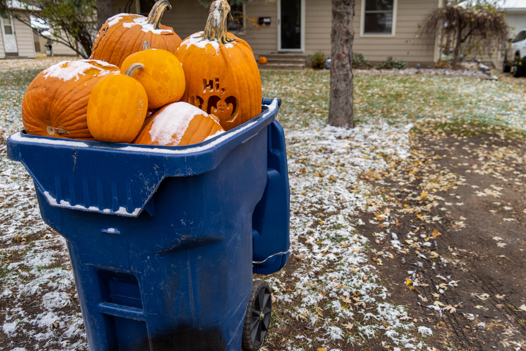 Halloween Container